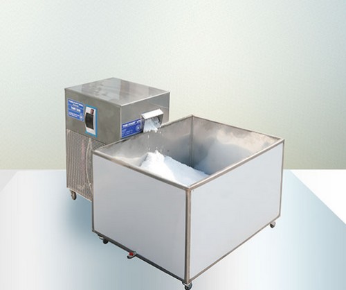 Machine de production de glace écailles TST01